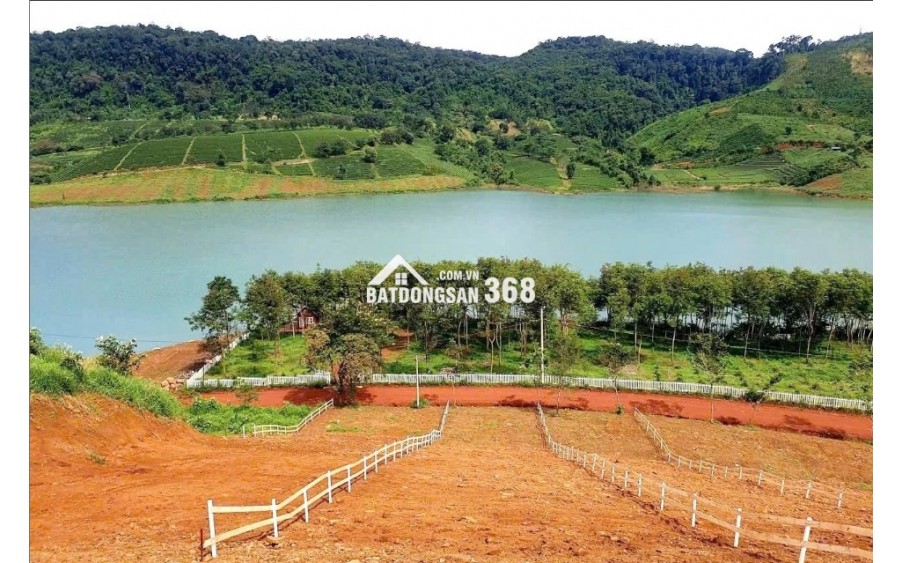 ĐẤT VIEW HỒ NGỌC –  598M2 FULL HỒNG